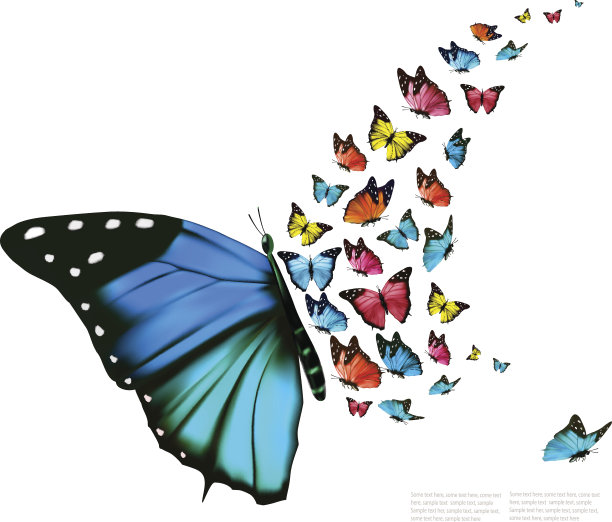 美丽的蝴蝶的背景。向量。图片下载