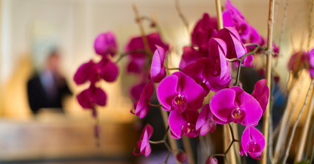 酒店接待图片下载