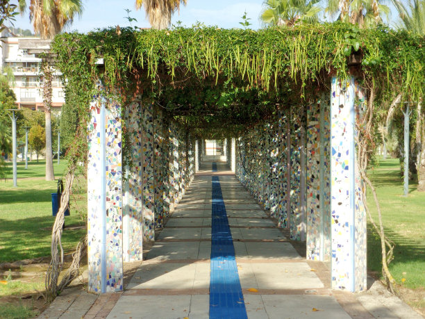 萨莱诺图片下载