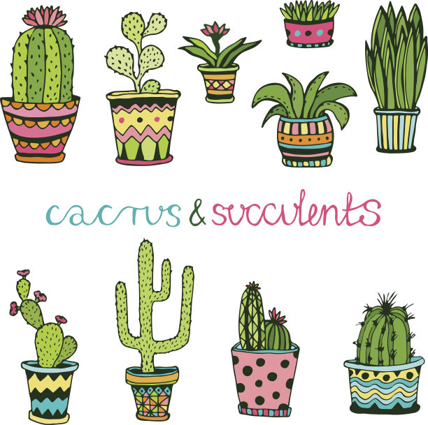 仙人掌和多肉手绘集。在花盆里涂鸦鲜花。图片下载