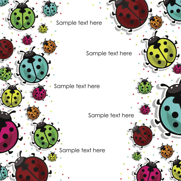 美丽的，彩色的瓢虫在白色的背景图片下载