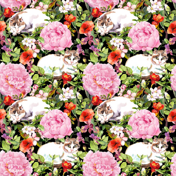 猫睡在草里，花里。花卉无缝模式。水彩图片下载