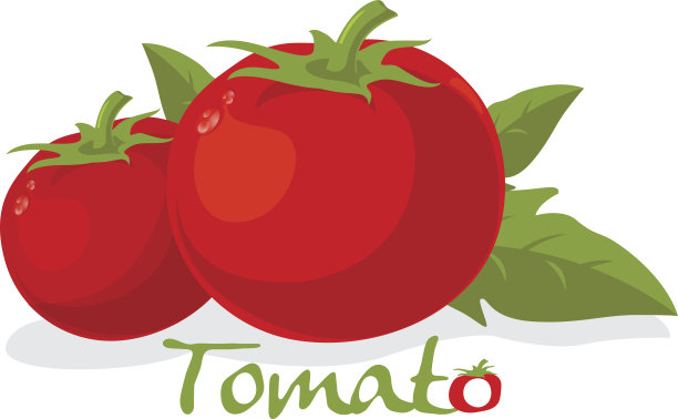 番茄向量图片下载