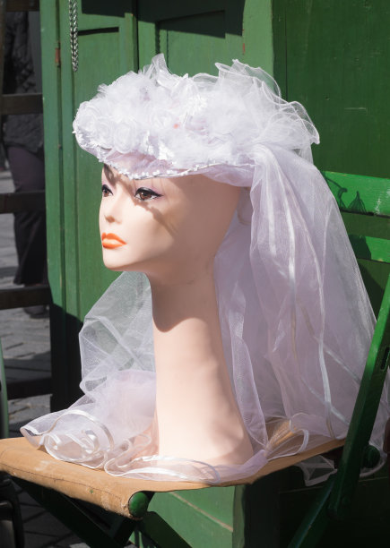 新娘的面纱图片下载