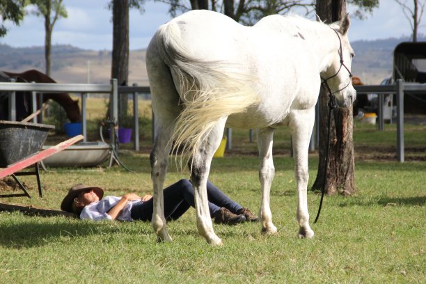 女士躺在她的马旁边图片下载