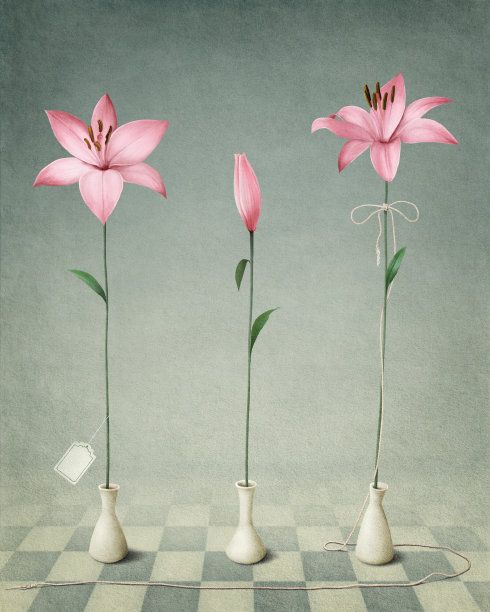 三个粉红色的莉莉图片下载