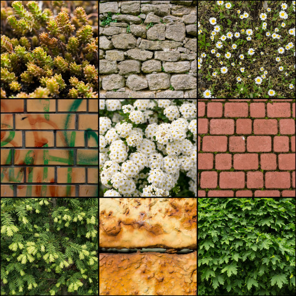 纹理混合拼贴(花、锈、石头、岩石、树木、涂鸦)图片下载