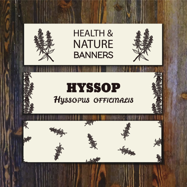 健康与自然收藏图片下载