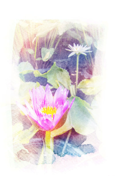 花水彩插图。图片下载