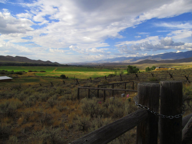 分布在爱达荷州的萨蒙地区。图片下载
