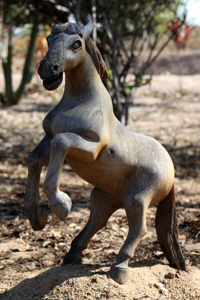 马伍德图片下载