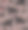 森林鸟群图片下载
