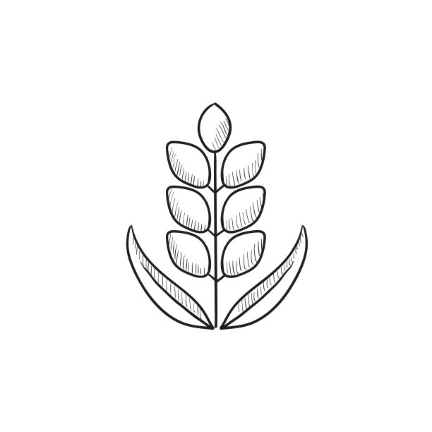 小麦素描图标图片下载
