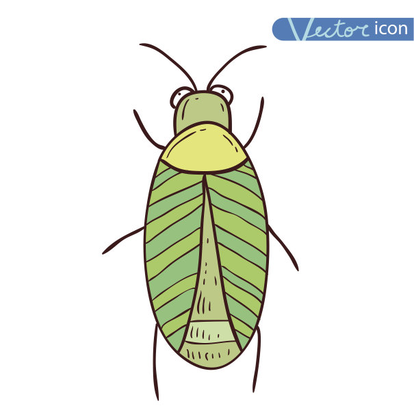 甲虫卡通虫，昆虫图标。矢量插图。图片下载