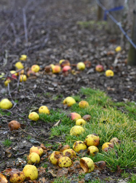 有机污染的概念图片下载