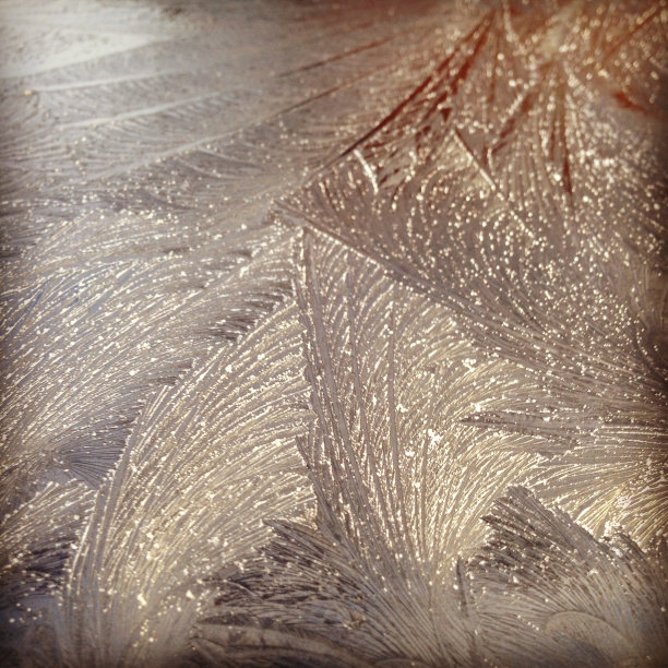 玻璃上的冰纹图片下载