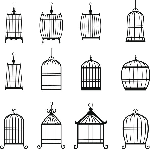 一套现代的鸟笼。可编辑的图片下载