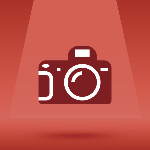 照片相机和打开flash矢量插图图片下载