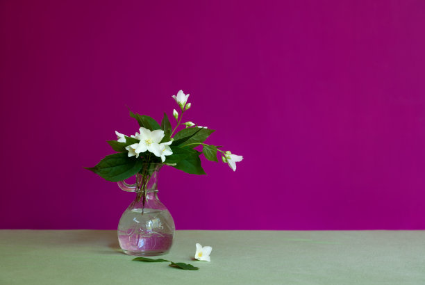 茉莉花花束。图片下载