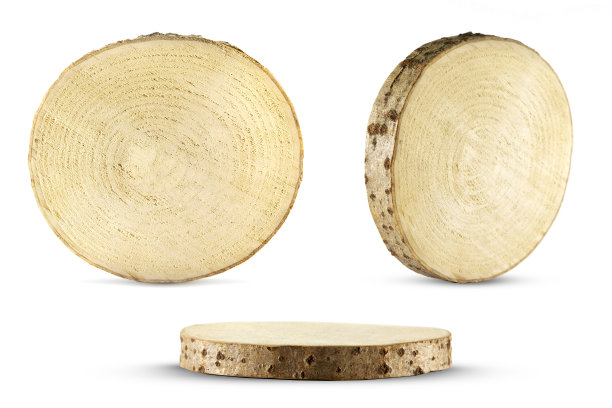 锯砍树干图片下载