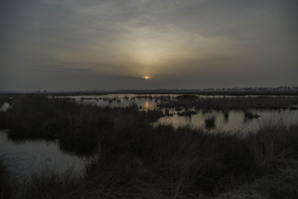 沼泽在日落时分图片下载