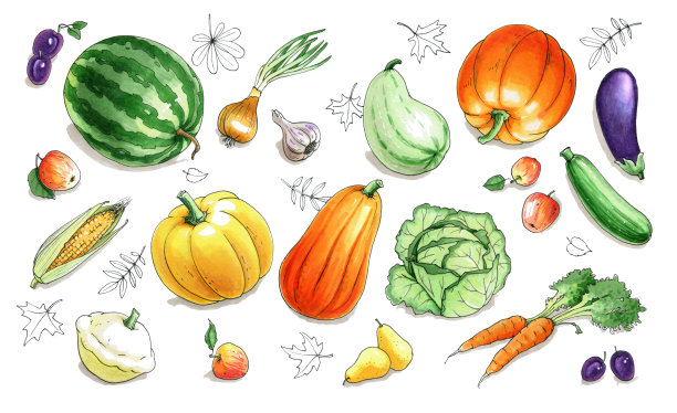 秋季果蔬图片下载