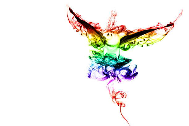 彩色小鸟图片下载