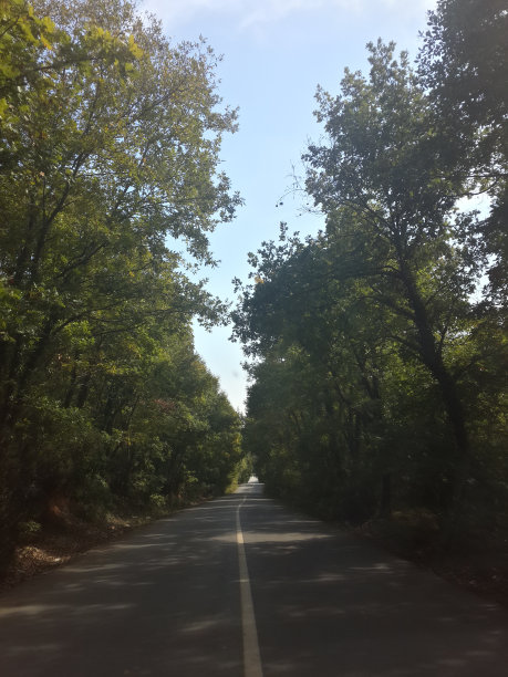 条条大路通天堂图片下载