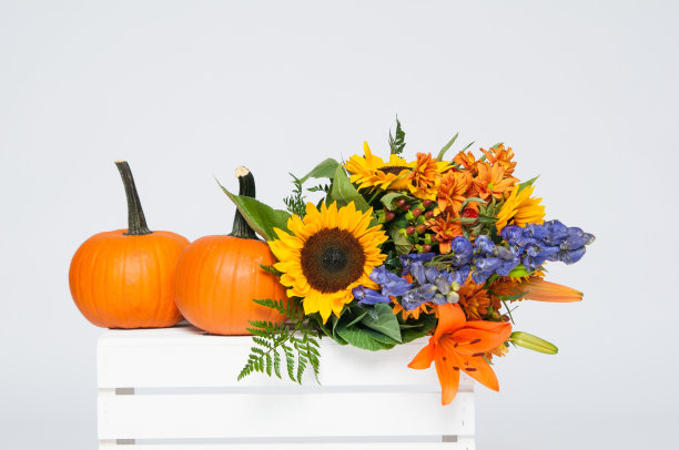 秋天的花和南瓜图片下载