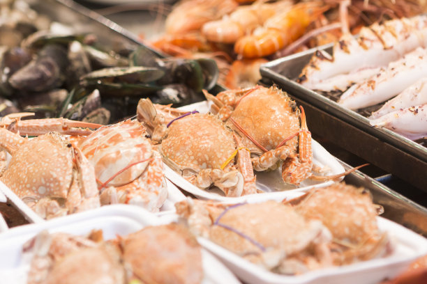 新鲜的亚洲海鲜近距离接触图片下载