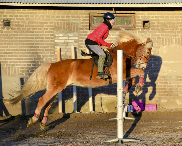 骑马和跳秀的女人图片下载