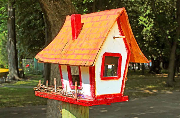 禽舍在公园图片下载