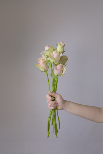 手捧花图片下载