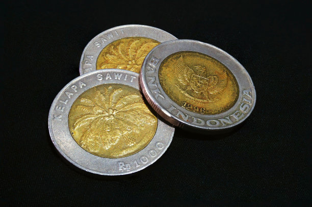 印尼的金币图片下载