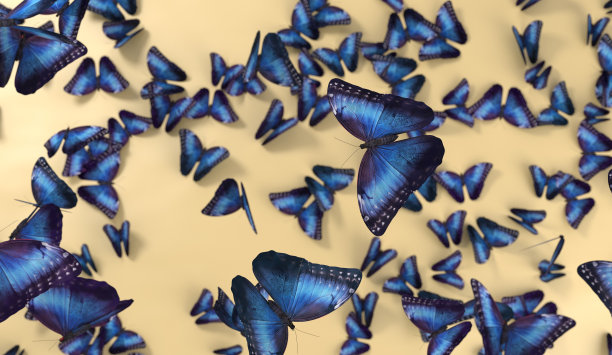 在黄色背景上渲染许多蝴蝶图片下载