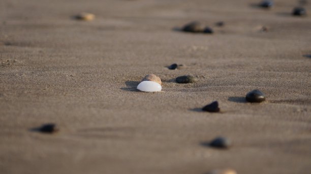 白色的石头图片下载
