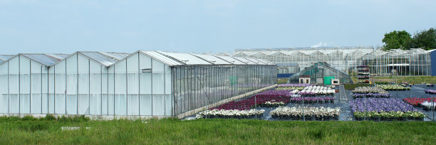 韦斯特兰地区的各种老温室。图片下载