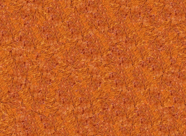 抽象褐色纹理与秋叶图片下载