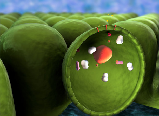 分子结构图片下载