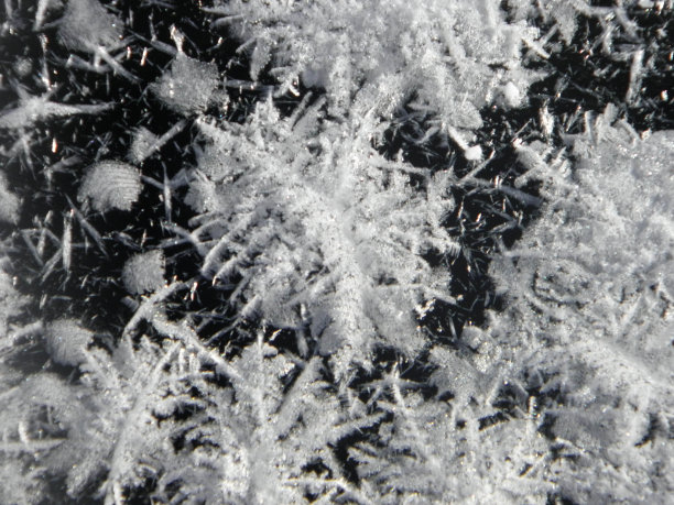 冬天北方的湖面上霜开了。图片下载