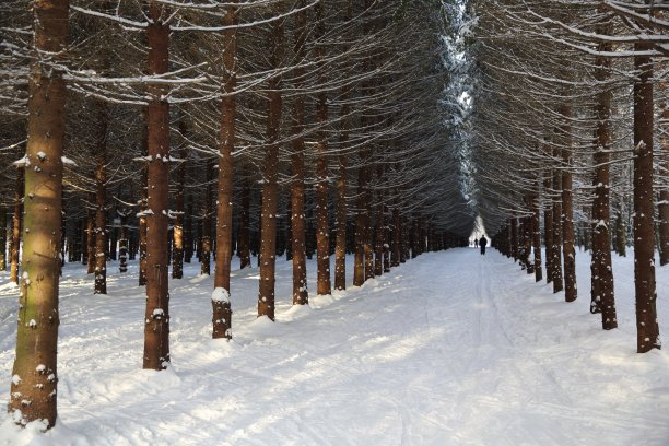 冬天的小巷图片下载