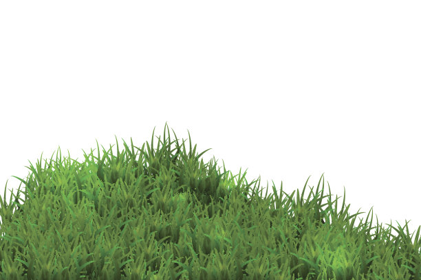 绿色的草孤立在蓝天的背景。图片下载