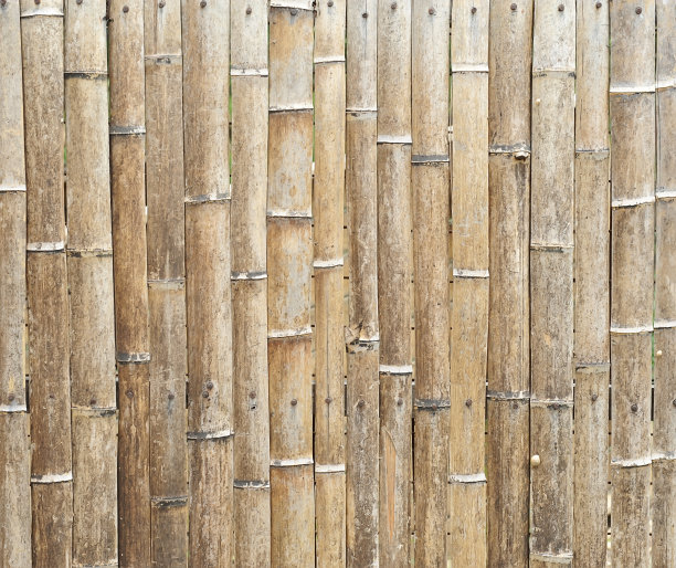 竹结构图片下载