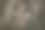 玉米棒子图片下载