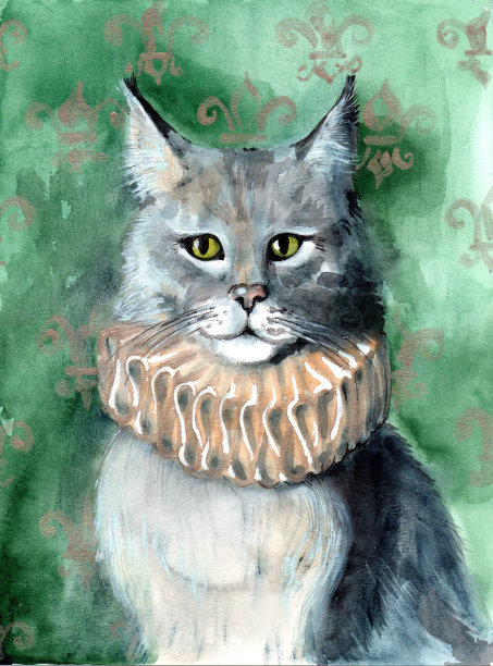 动物猫图片下载