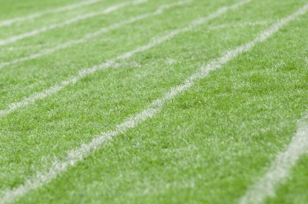 草坪白线图片下载