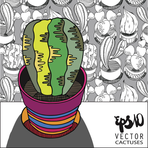 仙人掌图片下载