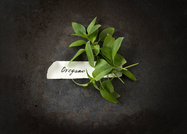 小枝牛至与手工签名纸标签图片下载