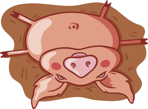 休息的猪素材图片