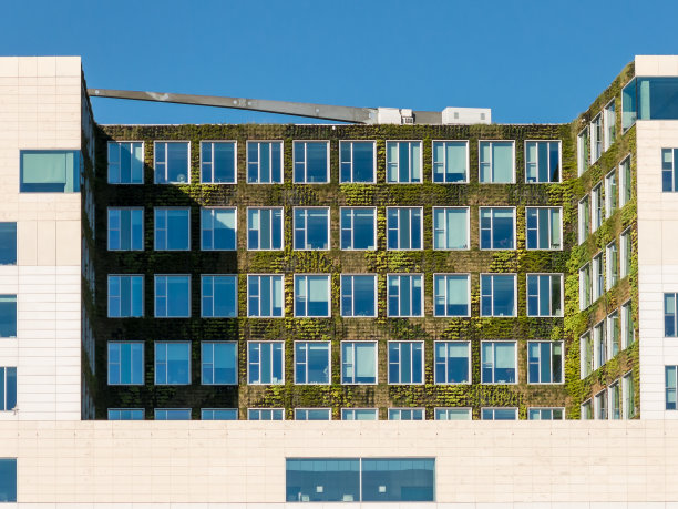 阿姆斯特丹办公楼上的垂直花园图片下载